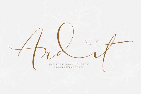 Andit: A Versatile Handwritten Font for Engaging Campaigns