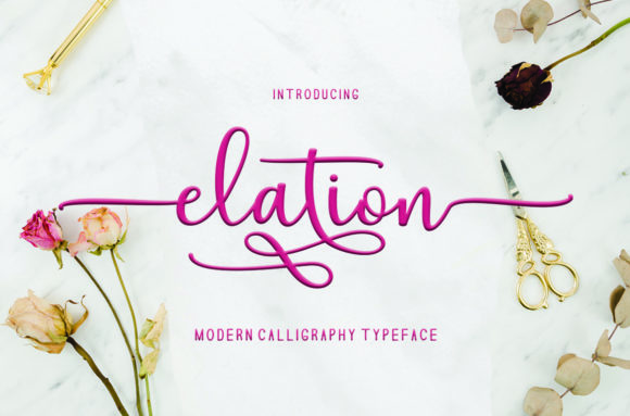 Elation: The Versatile Font Duo for Web Design