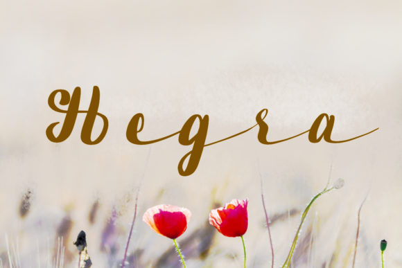 Enhance Your Brand with Hegra: A Delicate and Elegant Font
