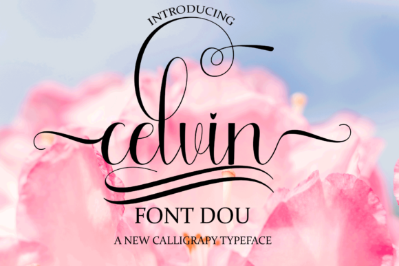Enhance Your Campaigns with Celvin: A Versatile Script Font